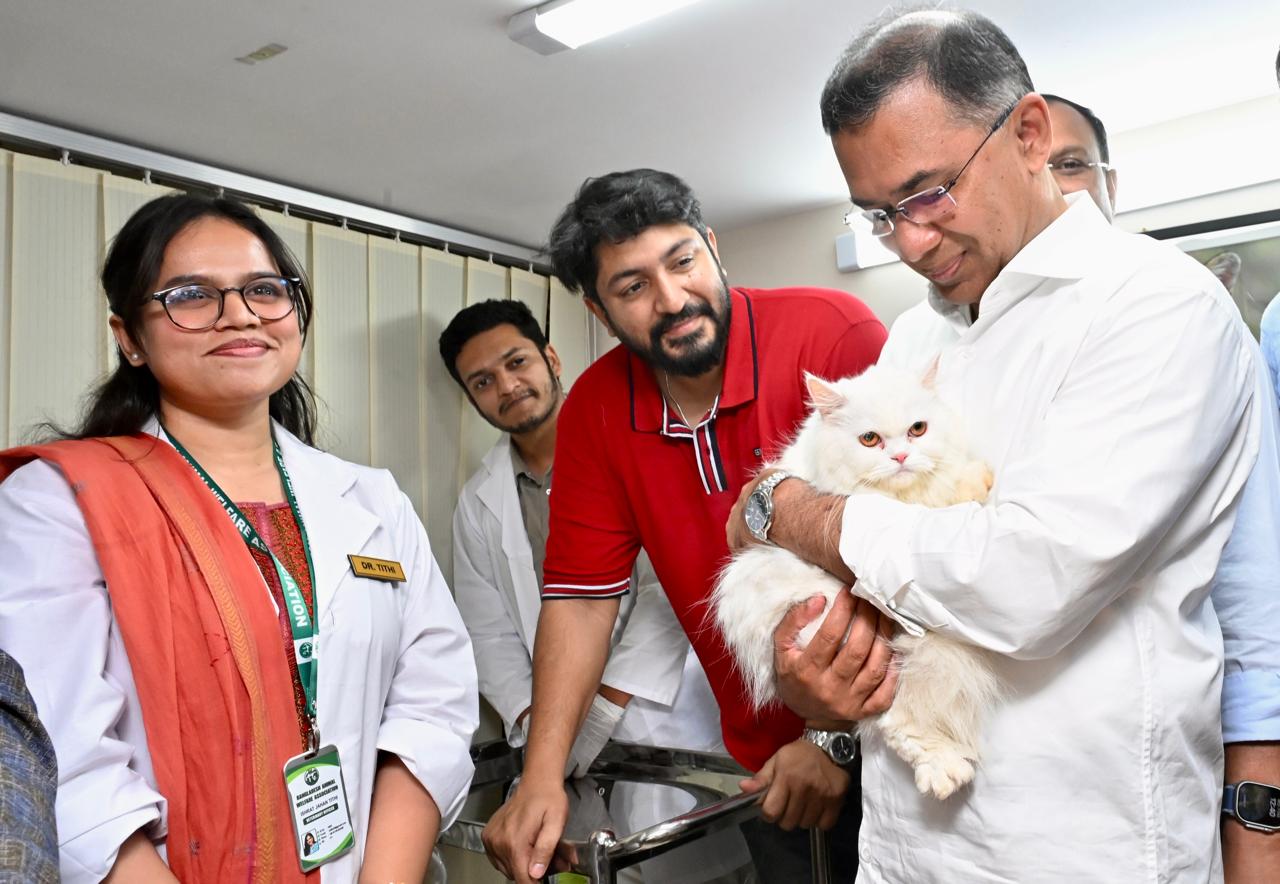 ছবি: সংগৃহীত।