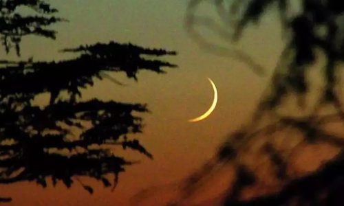 ছবি: সংগৃহীত।