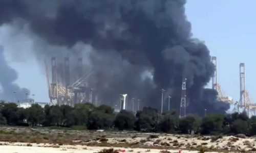 ছবি: সংগৃহীত।