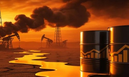 ছবি: সংগৃহীত।