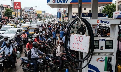 ছবি: সংগৃহীত।