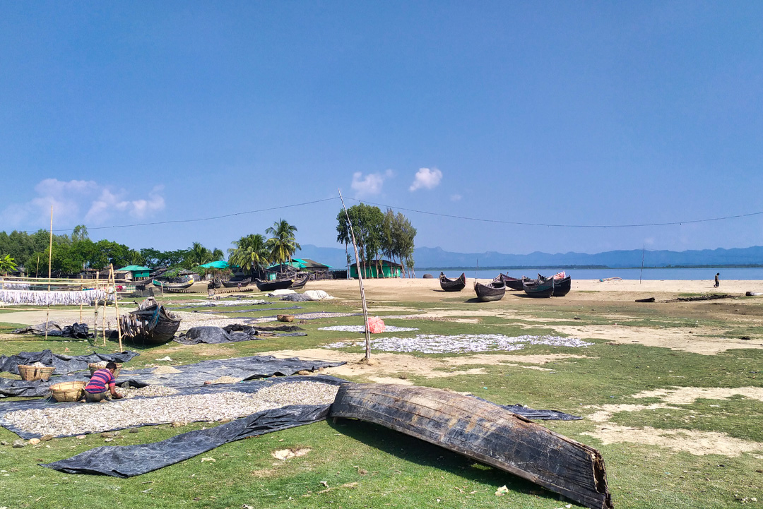 ছবি: সংগৃহীত।