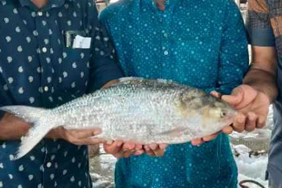 ছবি: সংগৃহীত।