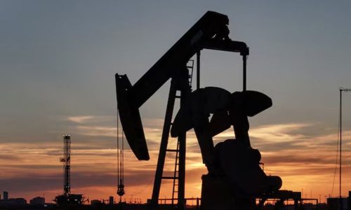 ছবি: সংগৃহীত।