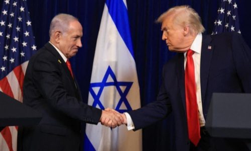 ছবি: সংগৃহীত।