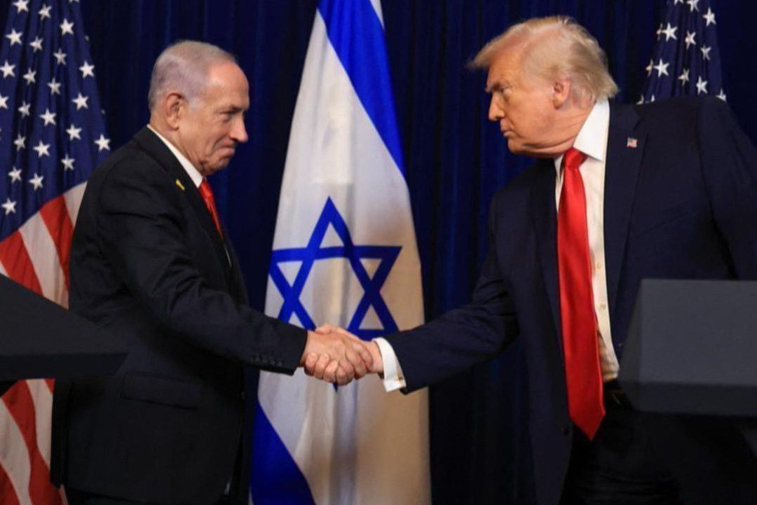 ছবি: সংগৃহীত।