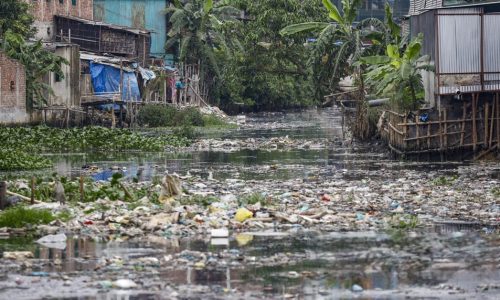 ছবি: সংগৃহীত।