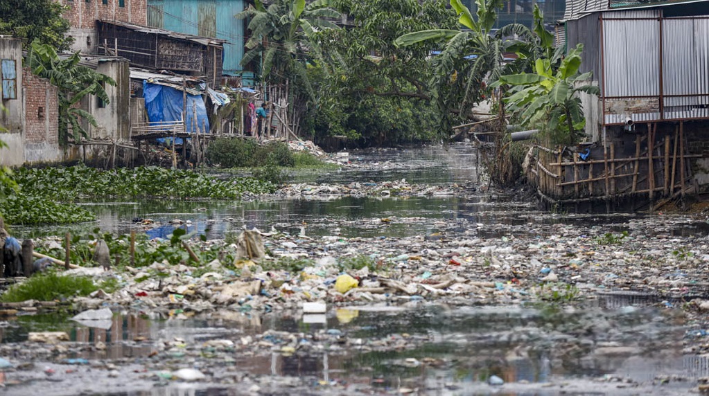 ছবি: সংগৃহীত।