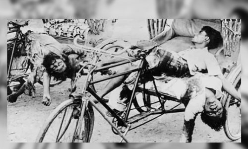 ছবি: সংগৃহীত।