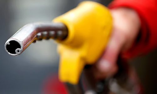 ছবি: সংগৃহীত।