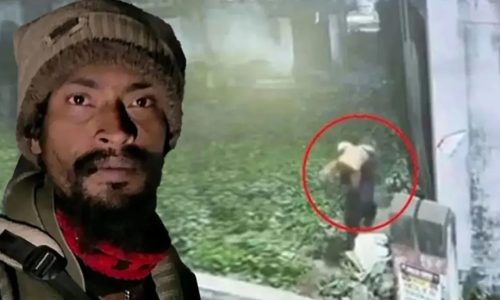 ছবি: সংগৃহীত।