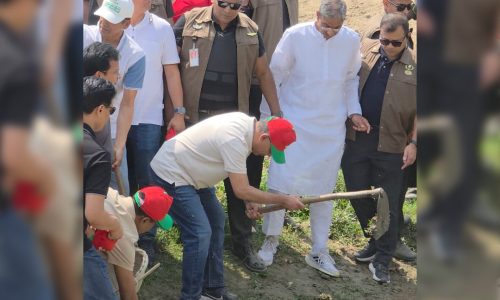 ছবি: সংগৃহীত।