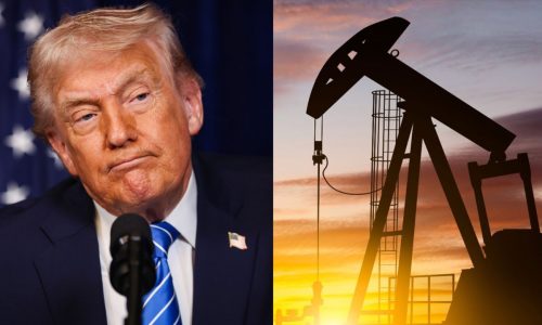 ছবি: সংগৃহীত।