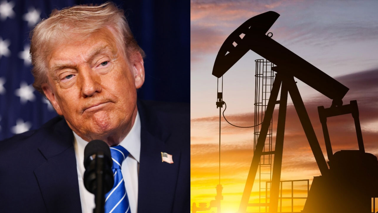 ছবি: সংগৃহীত।