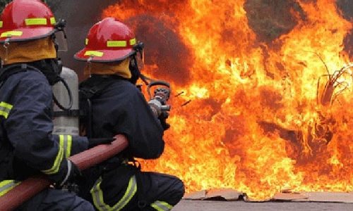 ছবি: সংগৃহীত।