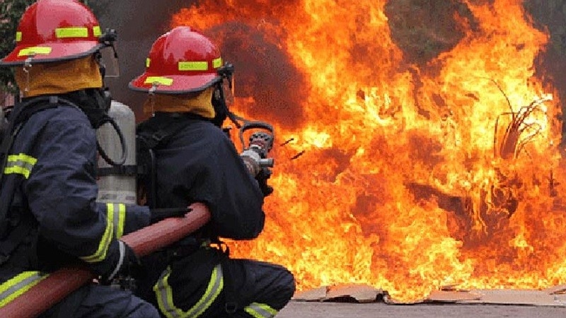 ছবি: সংগৃহীত।