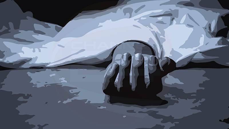 ছবি: সংগৃহীত।