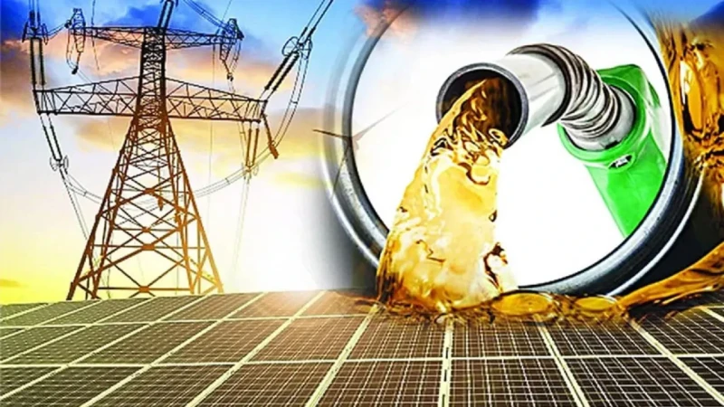 ছবি: সংগৃহীত।