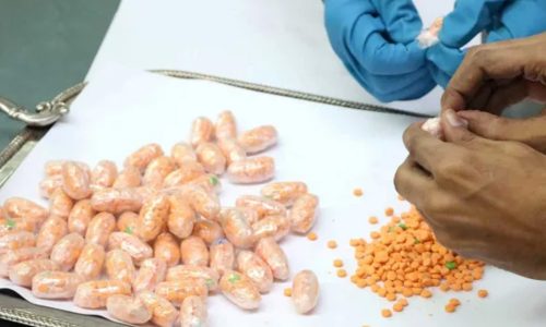 ছবি: সংগৃহীত।