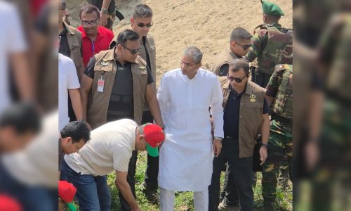 ছবি: সংগৃহীত।