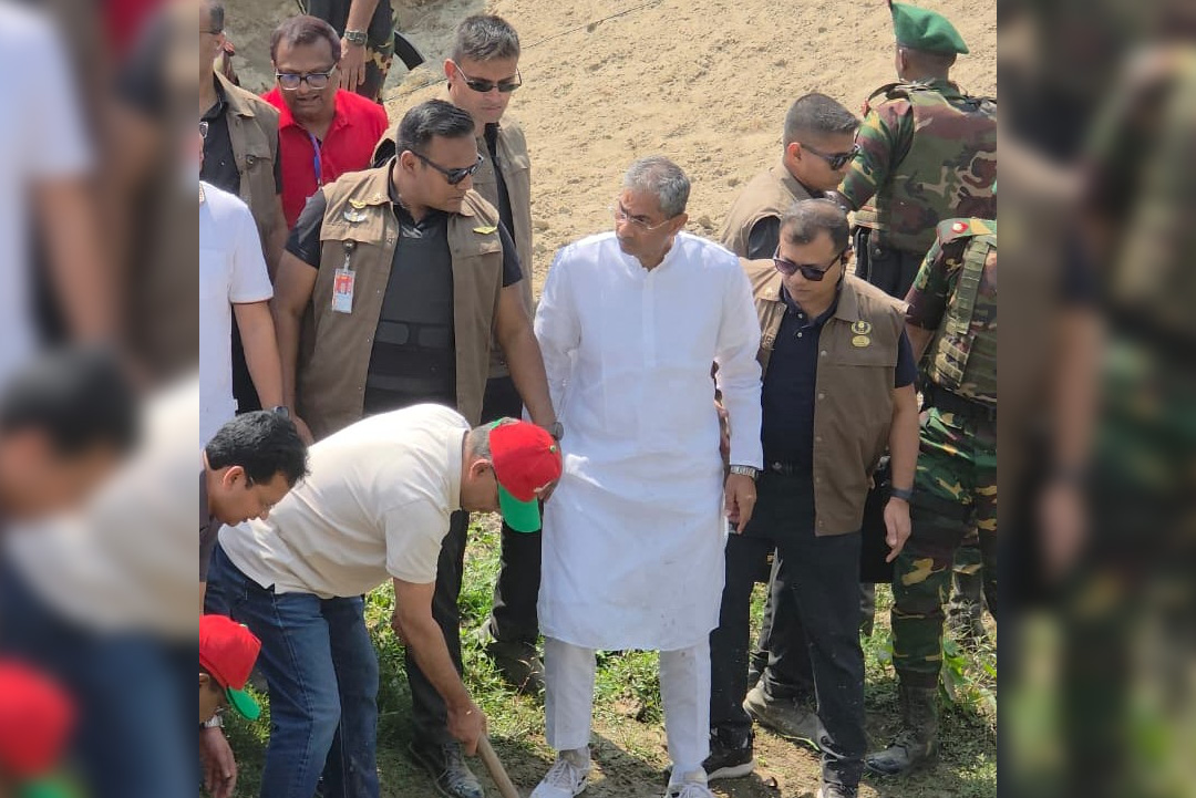 ছবি: সংগৃহীত।