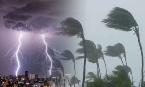 ছবি: সংগৃহীত।