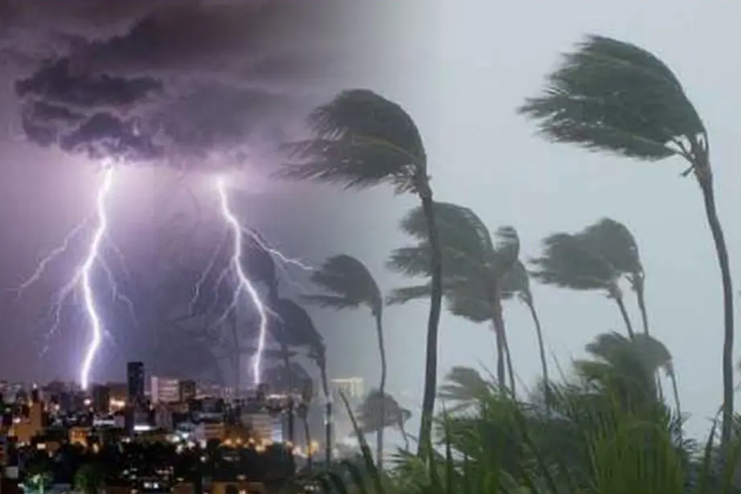 ছবি: সংগৃহীত।