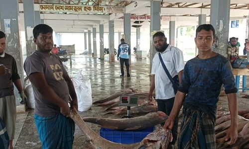 ছবি: সংগৃহীত।