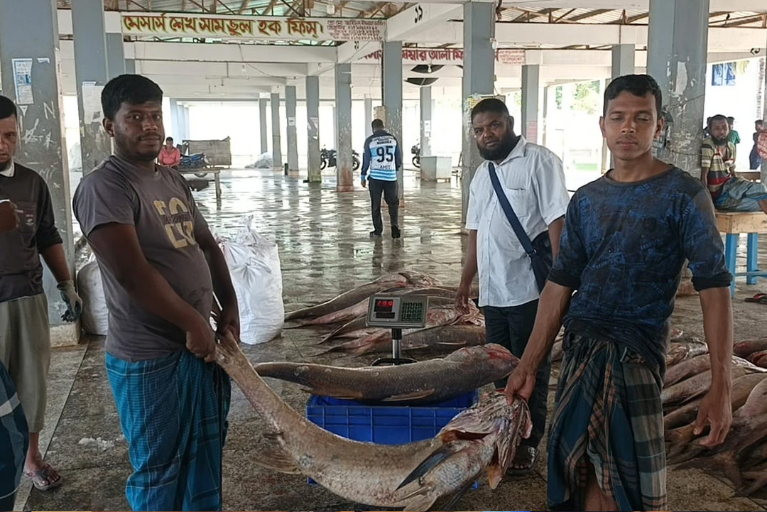 ছবি: সংগৃহীত।