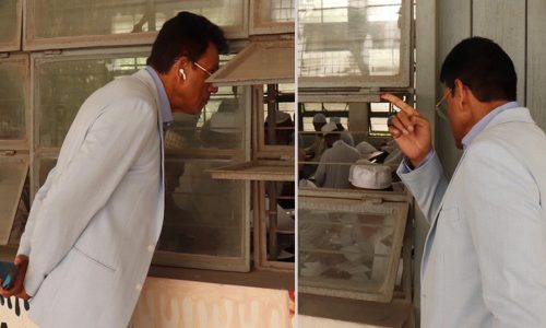 ছবি: সংগৃহীত।