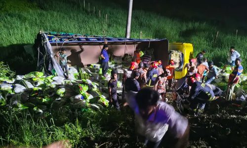 ছবি: সংগৃহীত।