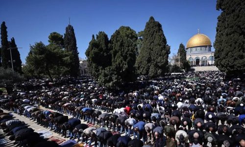 ছবি: সংগৃহীত।