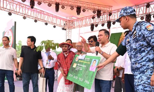 ছবি: সংগৃহীত।