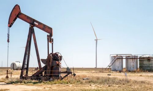 ছবি: সংগৃহীত।