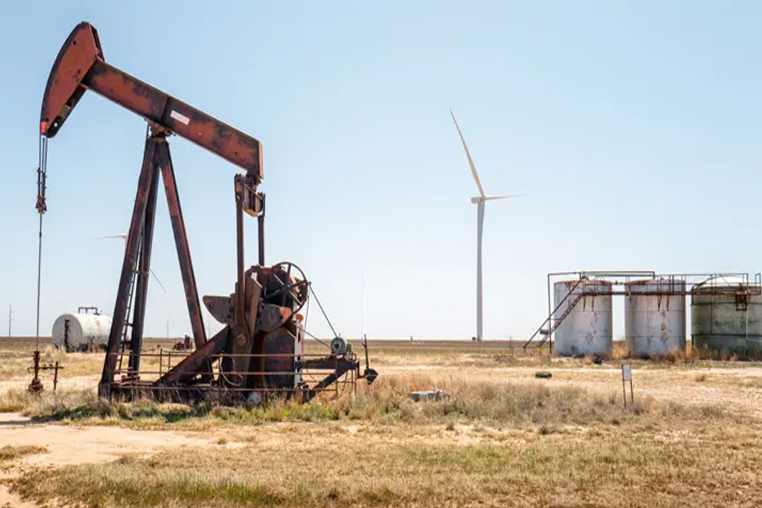 ছবি: সংগৃহীত।