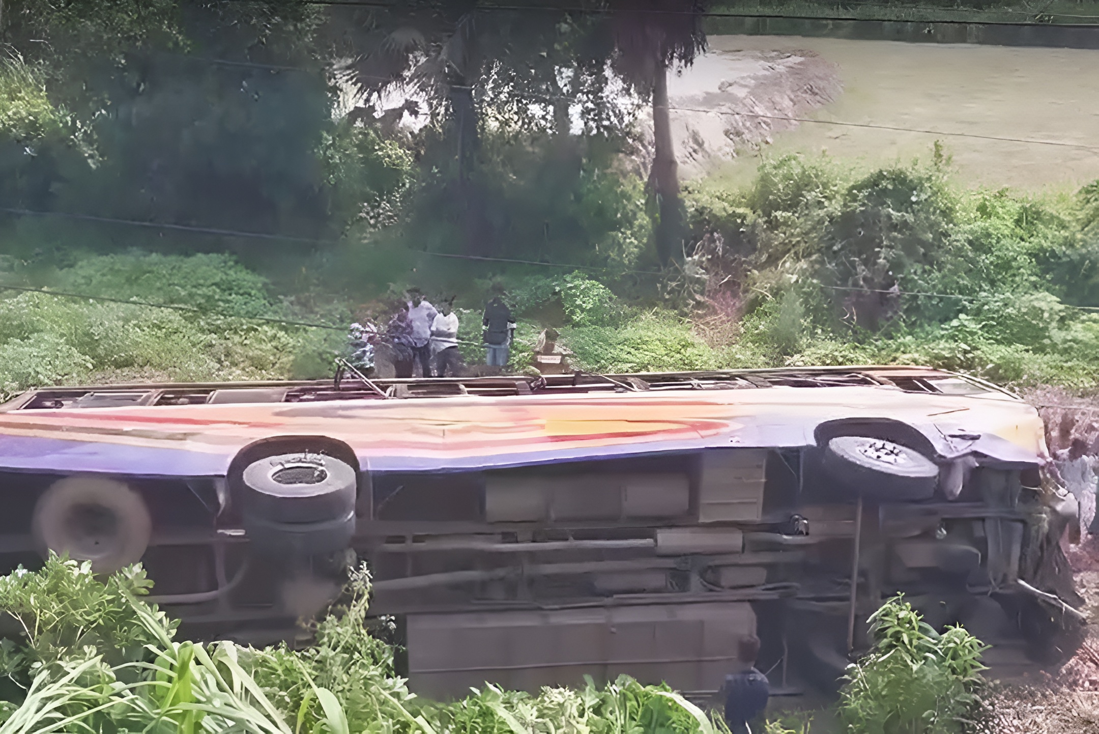 ছবি: সংগৃহীত।