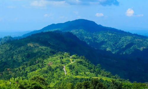 ছবি : সংগৃহীত