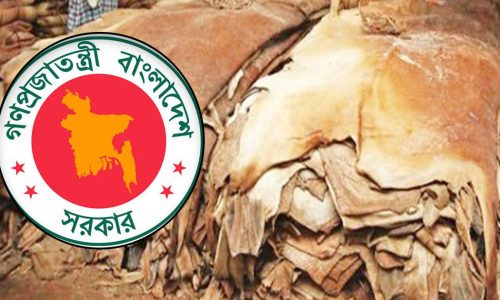 ছবি: সংগৃহীত।
