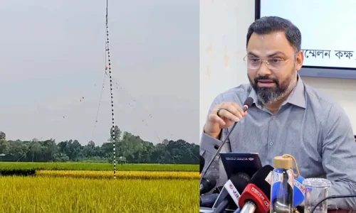 ছবি: সংগৃহীত।