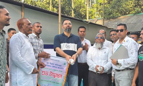 ছবি: সংগৃহীত।